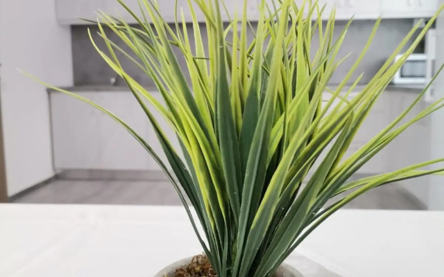 Vila President Sovata