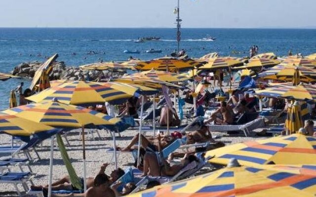 Hostel Amfora