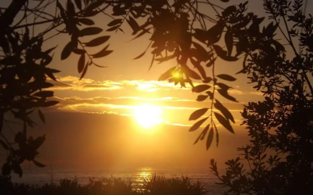 The House Sport Hostel