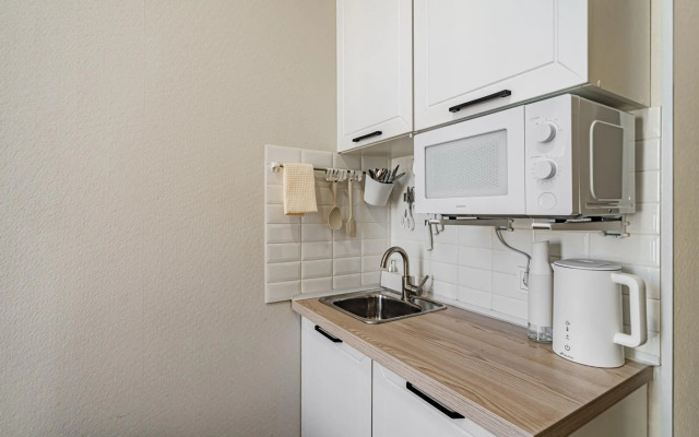 С.Утками на проспекте Литейный