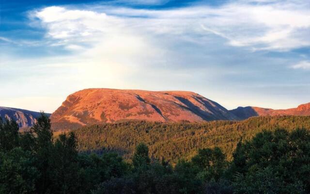 Отель Deer Lake Horizon 