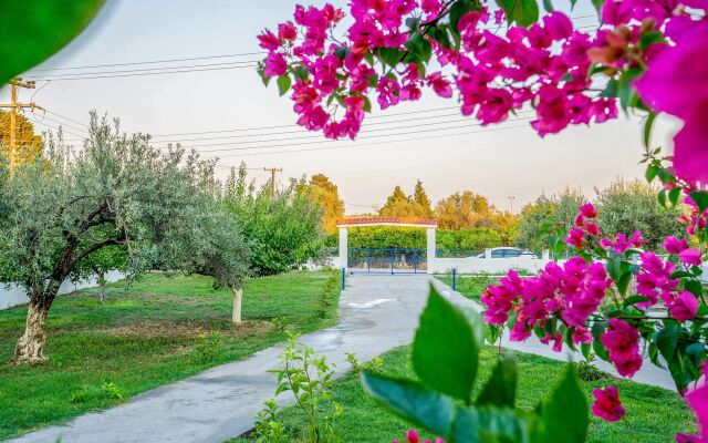 Maroula Studios