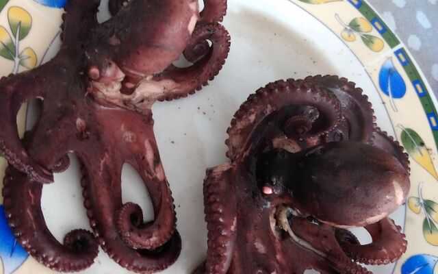 Seafront House Le Finestre Sul Mare With Balcony