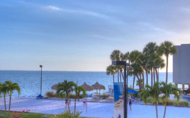 Tampa Waterfront 33183