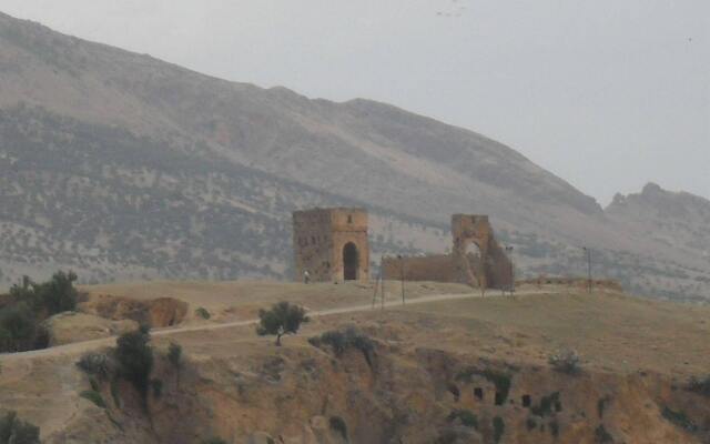 Riad Tayba