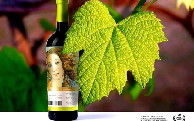 Wine Hotel Cesarica