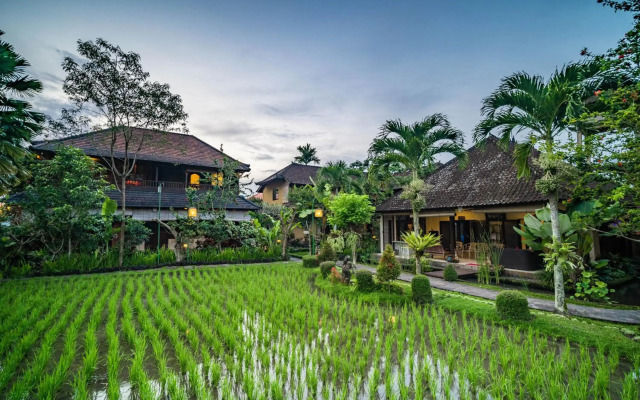 Bliss Bungalow