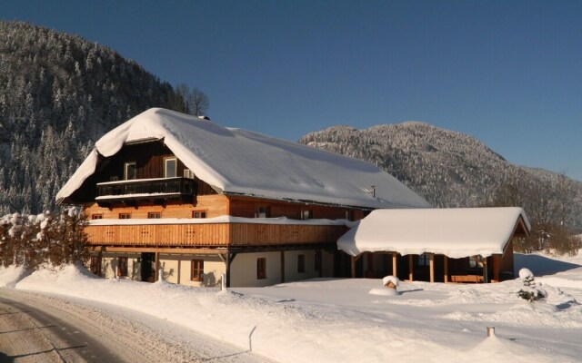 Cozy Farmhouse in Abtenau Near Ski Area