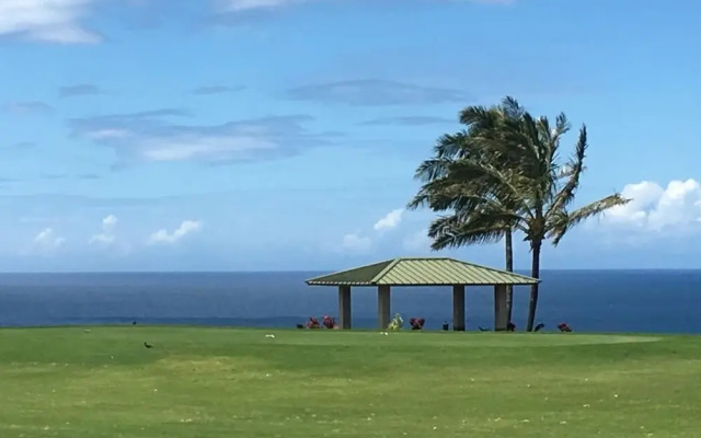 Kamahana 24