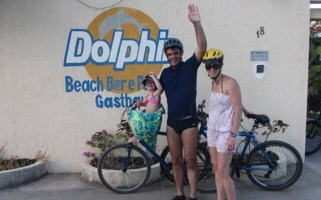 Dolphin Pousada Gasthaus