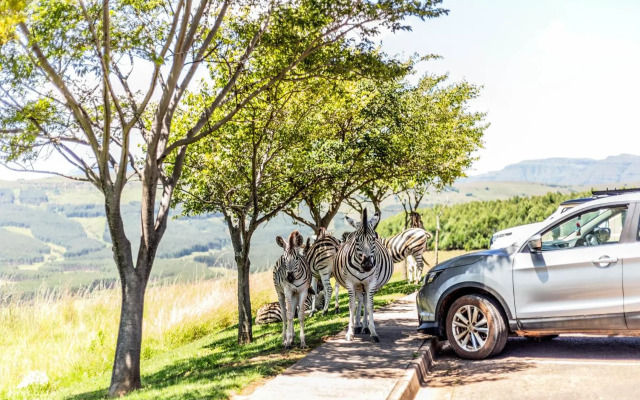 Serenity at Cathkin Estate, Central Drakenberg
