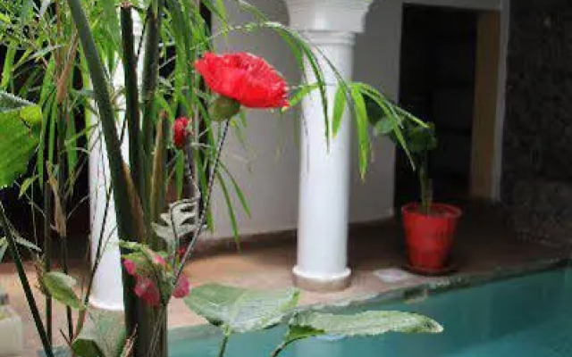 Riad El Kenz