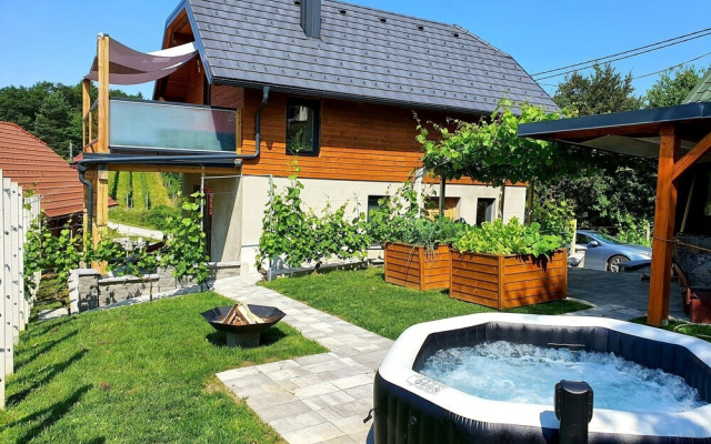 Vineyard cottage Matej