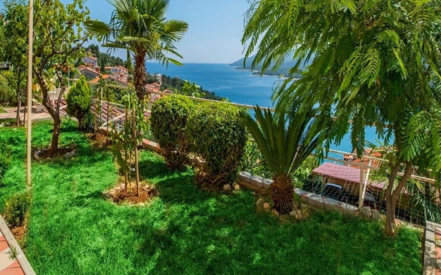 Gracia - With Great View - SA1