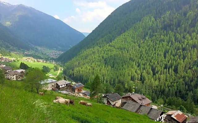 Agritur Maso Ciprianna B&B