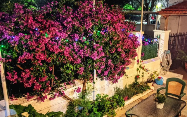 House with garden in city of Rhodes