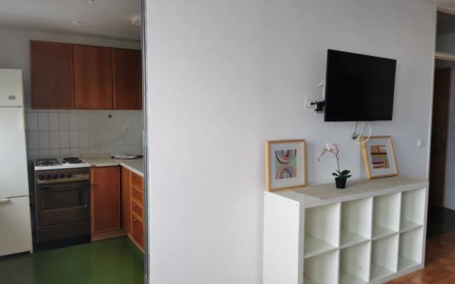 Dunajska Apartment