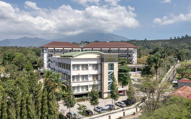 The Green Peak, ARTOTEL Curated