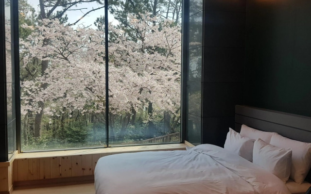 Suntree Hotel