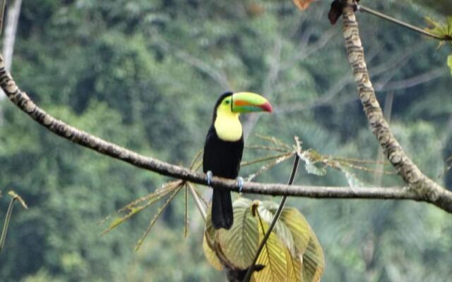 Pacuare River Lodge