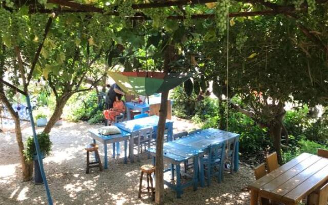 Senayablaevpansiyonculuk