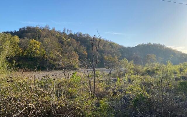 Pumpkin Hotels Corbett, Tusk N Wood