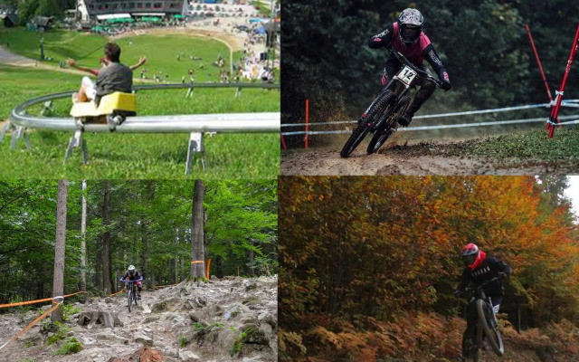 Golden Fox Apartment Pohorje