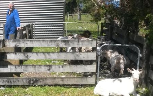 154 Kaniere Road Accommodation – People – Hokitika