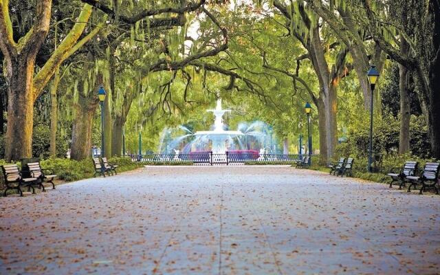 Savannah Jetsetter