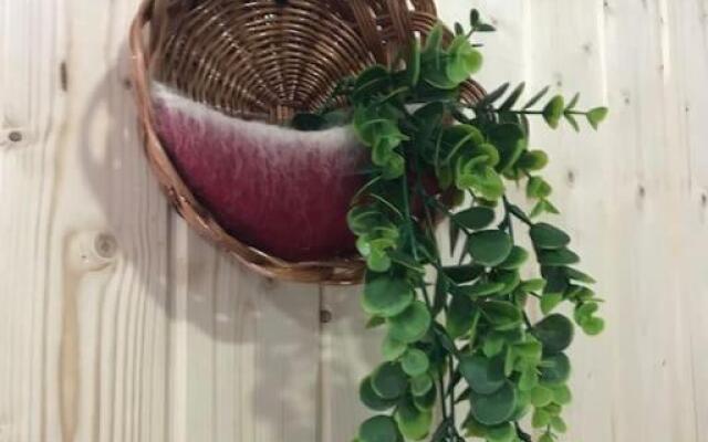 Rústico T1 no centro cidade