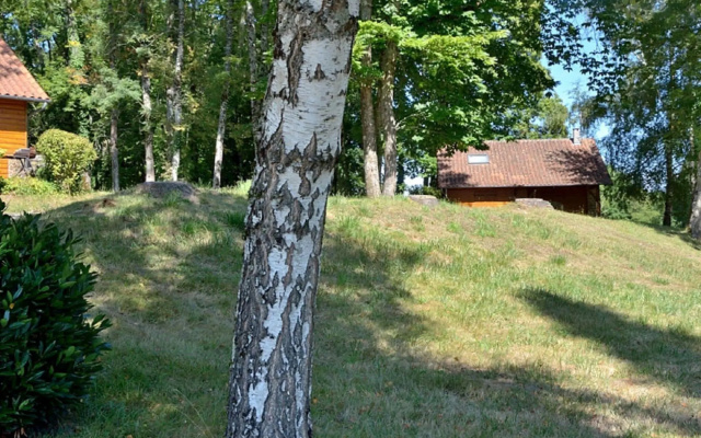 Serene Holiday Home in Cussac with Private Terrace, Barbeque