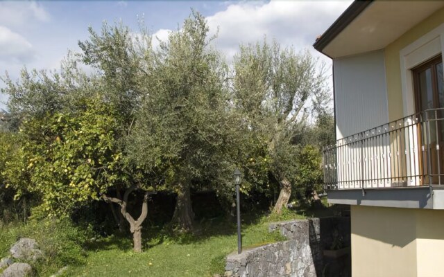 Agriturismo Biologico DellEtna