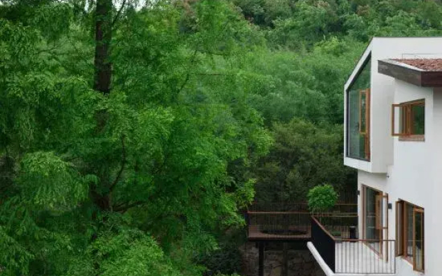 Mount Mogan Chic Hostel