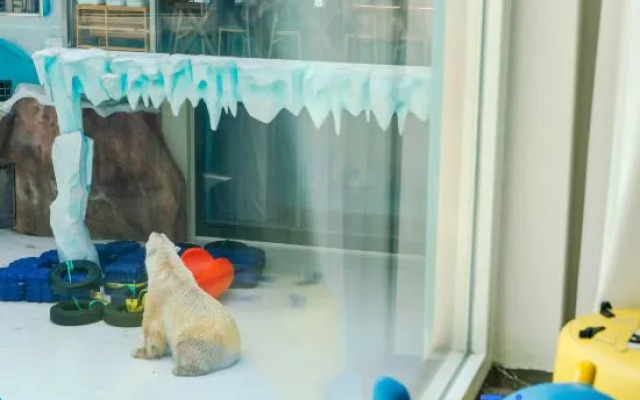Harbin Polar Bear Hotel