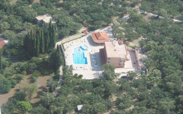 Zante Dolphin I Alykes
