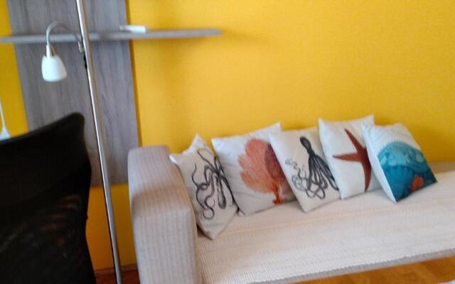 Studio Antonio