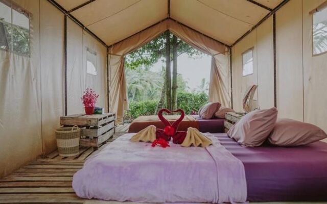 Damarwidi Glamping - Campsite