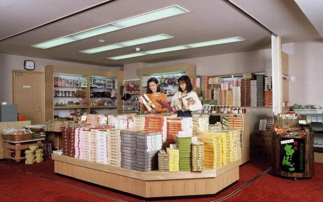 Hotel Hoshikawakan