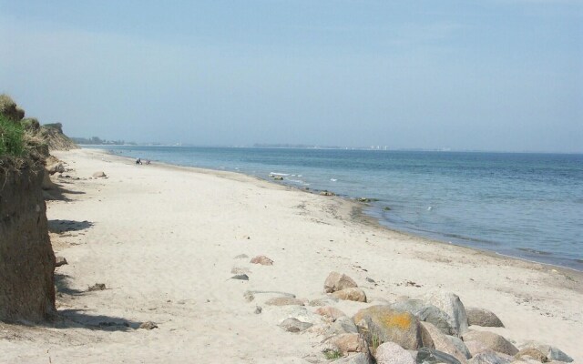 Seelöwe