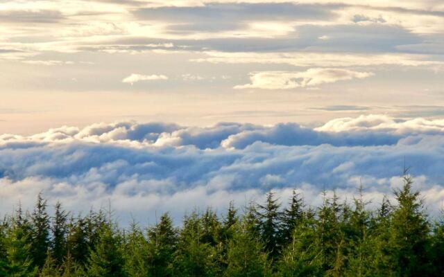 Le Domaine de la Vitarelle