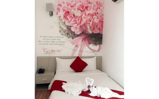 The Carnation Hotel Da Nang