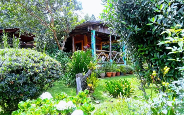 Cabanas Ave Maria