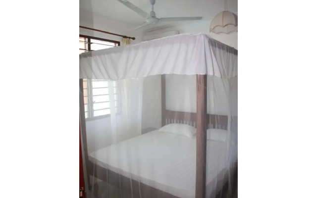 Morning Star Diani