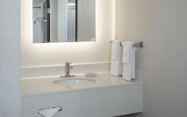 SpringHill Suites by Marriott Orlando Convention Center/International Drive Area