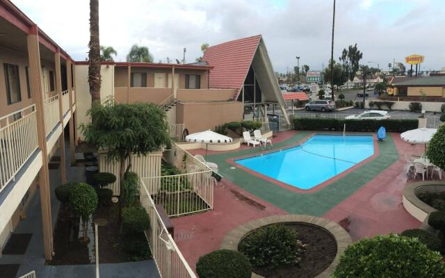 Willow Tree Lodge