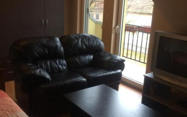 Aleksandar Apartment