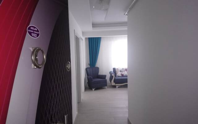 Aslan Luxury Concept