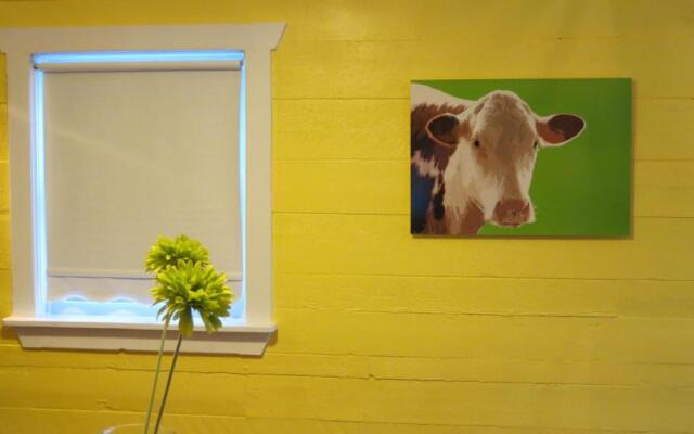 The Old Salt Box Co. - Daisy's Place