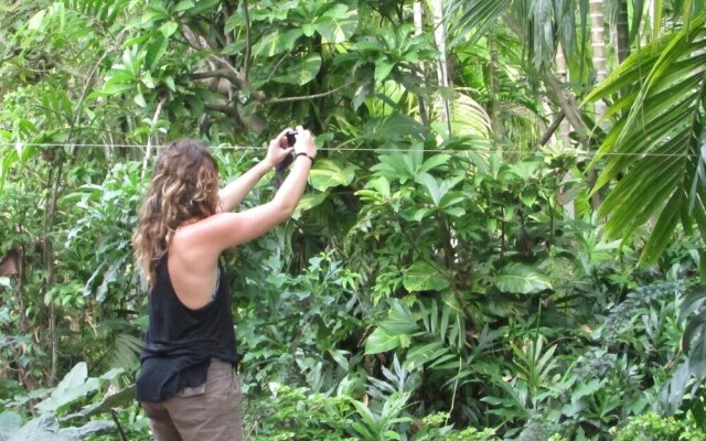 Jungle Guest Mirissa