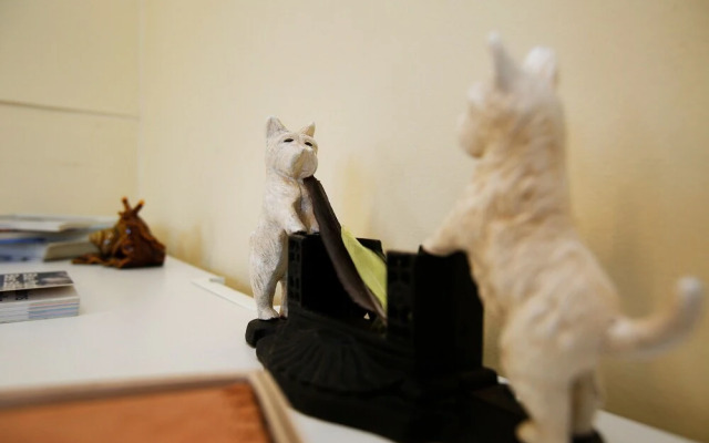 Tullys Hut - Walk to Hikes, Waterfalls, Views